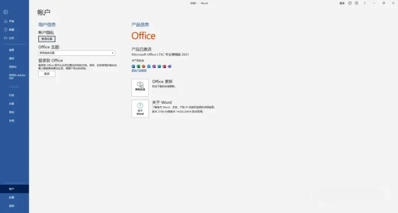 PC 微软 Microsoft Office 2021 专业激活版-阿拉丁下载