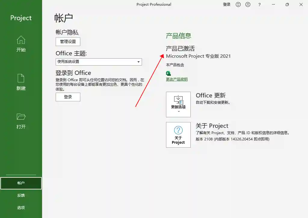 PC Microsoft Project 2021 项目管理软件 中文激活版 - 阿拉丁下载-阿拉丁下载