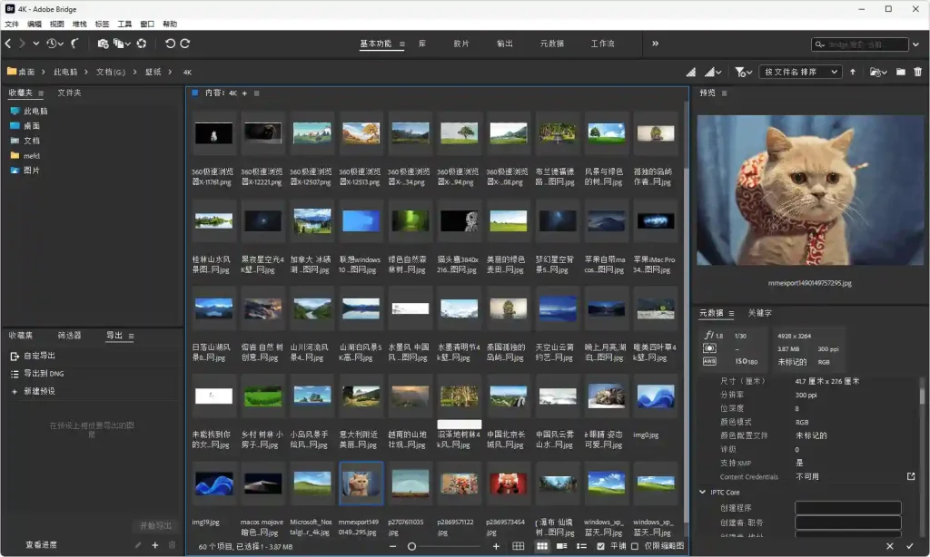 图片[2]-PC Adobe Bridge 2025 v15.1.2 一款数字资产管理的专业图像软件 中文激活版 - 阿拉丁下载-阿拉丁下载