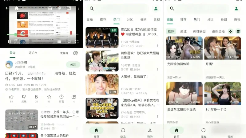 Android+PC PiliPlus v1.1.5 第三方哔哩哔哩客户端,界面极简无广告,支持1080P+-阿拉丁下载