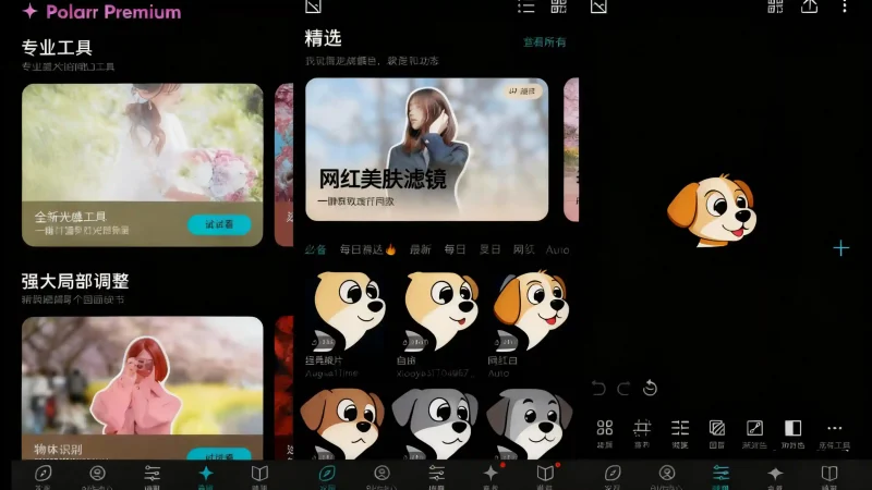 Android Polarr v6.11.6 泼辣修图，款强大的全平台专业修图软件，解锁专业版-阿拉丁下载
