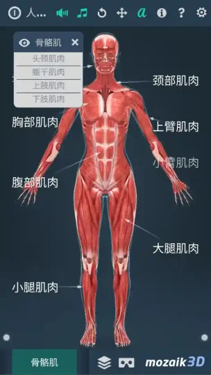 Android 人体系统女性 3d v1.0 一款可以全方位立体呈现女性人体各系统-阿拉丁下载