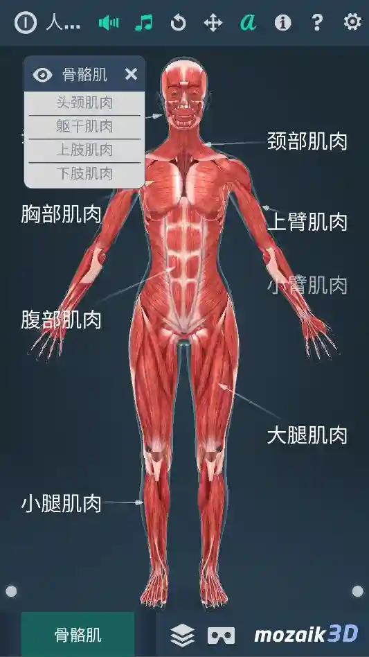 Android 人体系统女性 3d v1.0 一款可以全方位立体呈现女性人体各系统 - 阿拉丁下载-阿拉丁下载