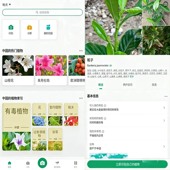 Android 植物识别 PictureThis v5.16.0 解锁付费版-阿拉丁下载